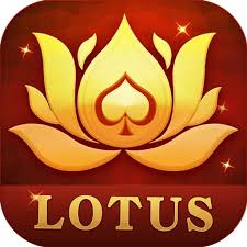 free chips teen patti download